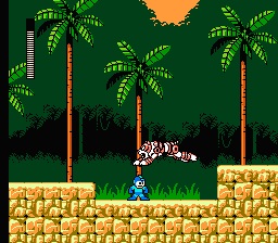 Mega Man V